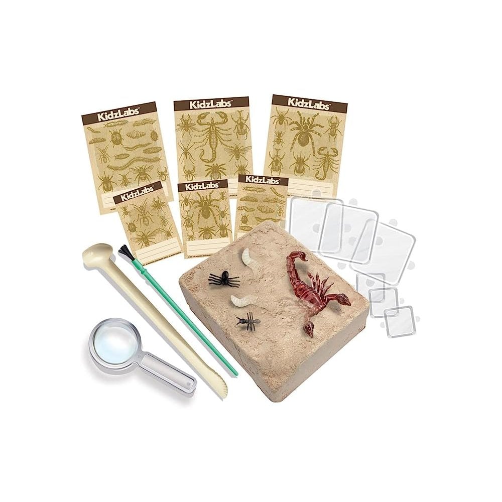KidzLabs -  Creepy Crawly Digging Kit