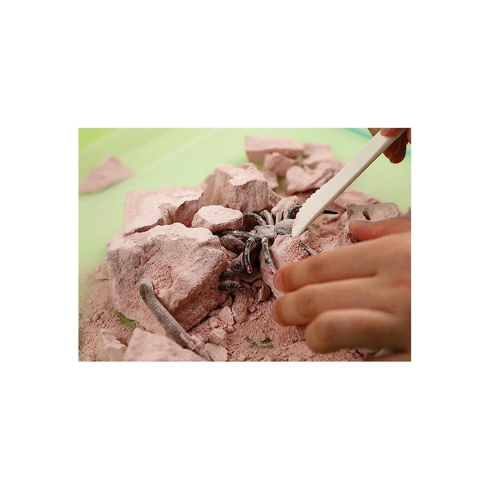 KidzLabs -  Creepy Crawly Digging Kit