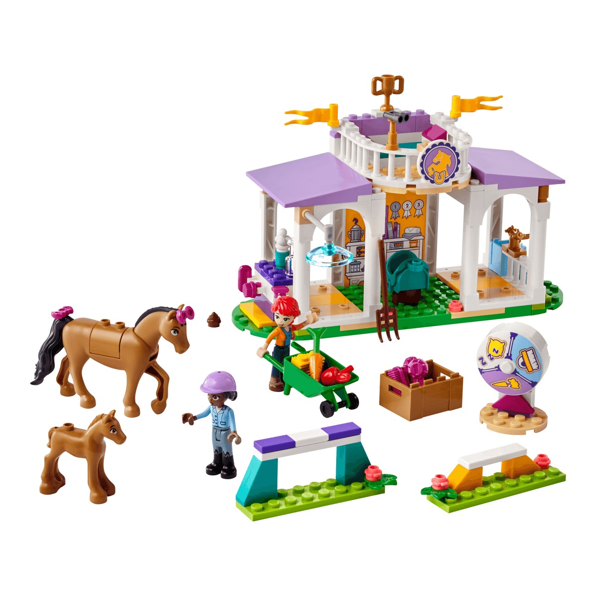 Horse Training