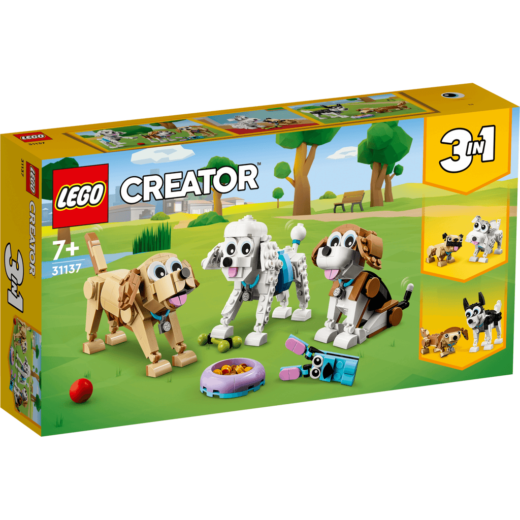 Adorable Dogs