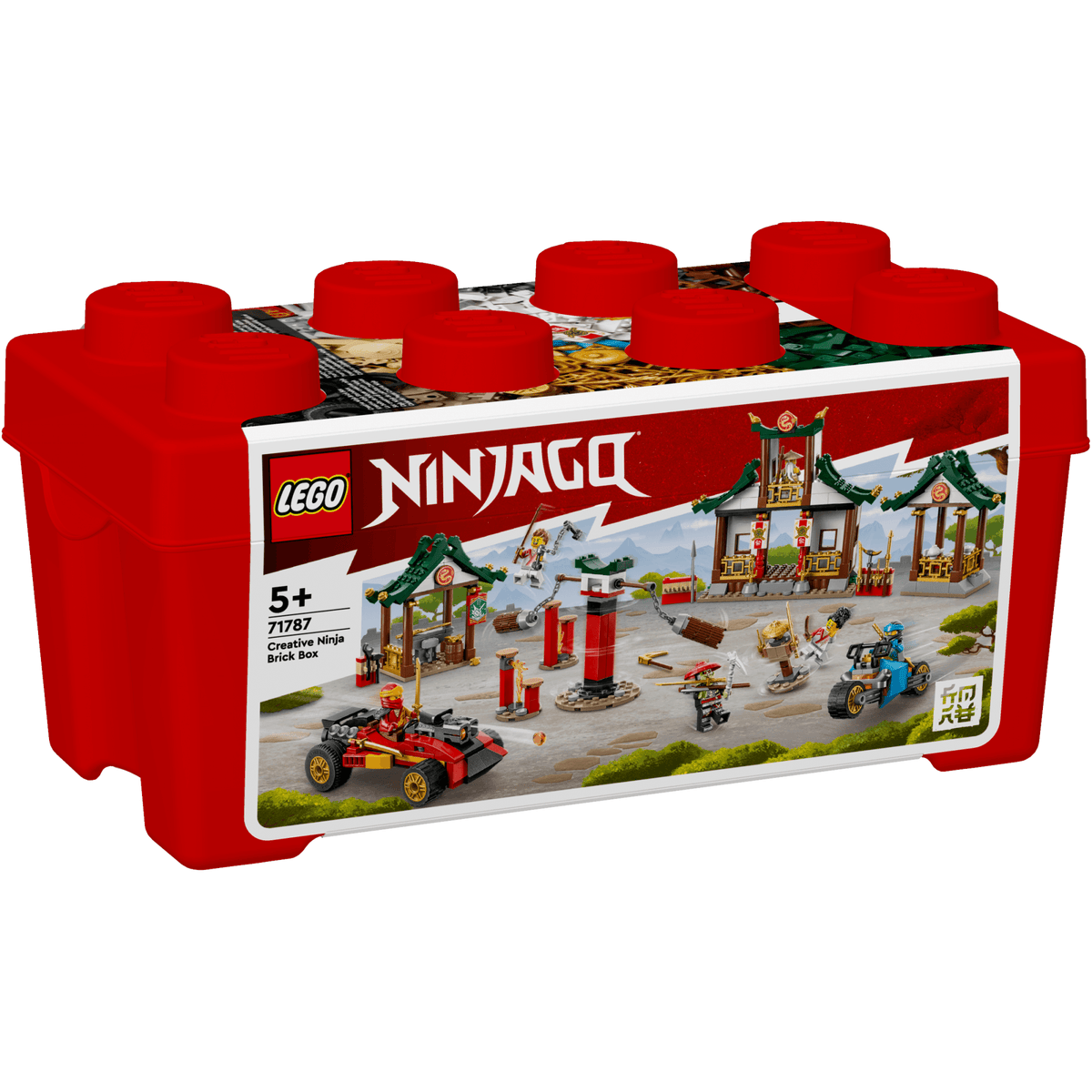 Creative Ninja Brick Box