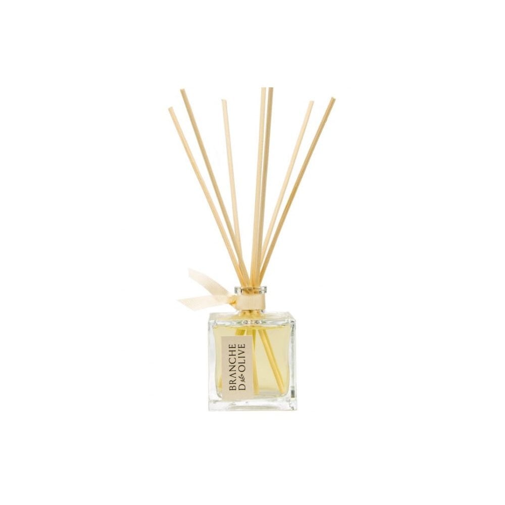 08000P: 100ml Small Diffuser - Bergamot