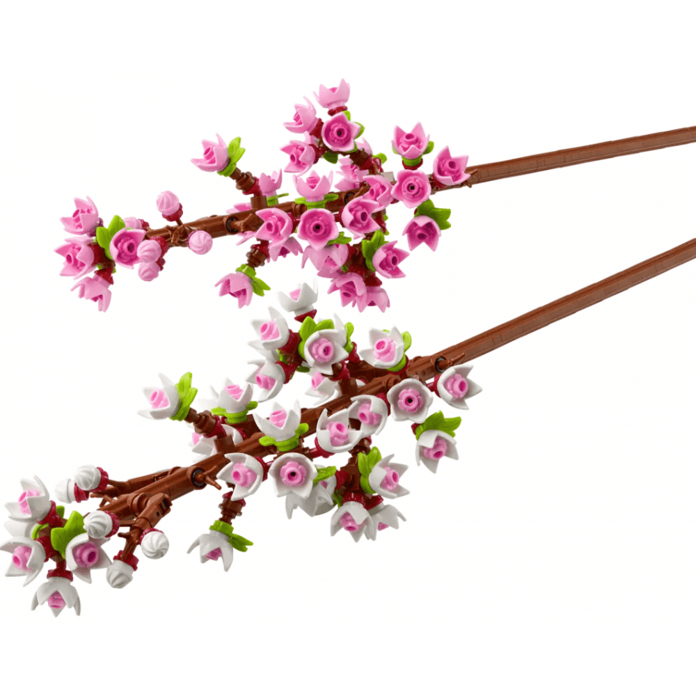 Cherry Blossoms 40725