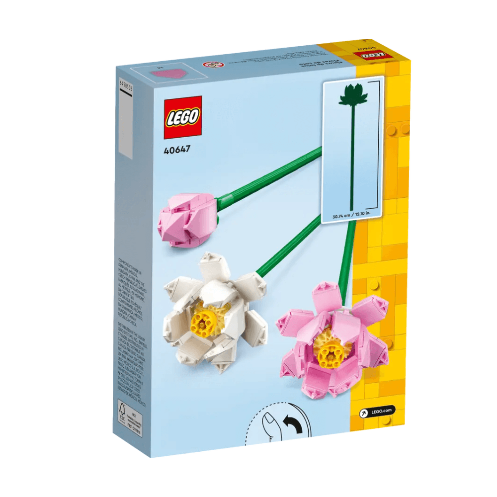 Lotus Flowers 40647