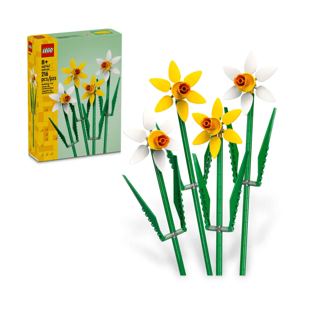 Daffodils 40747