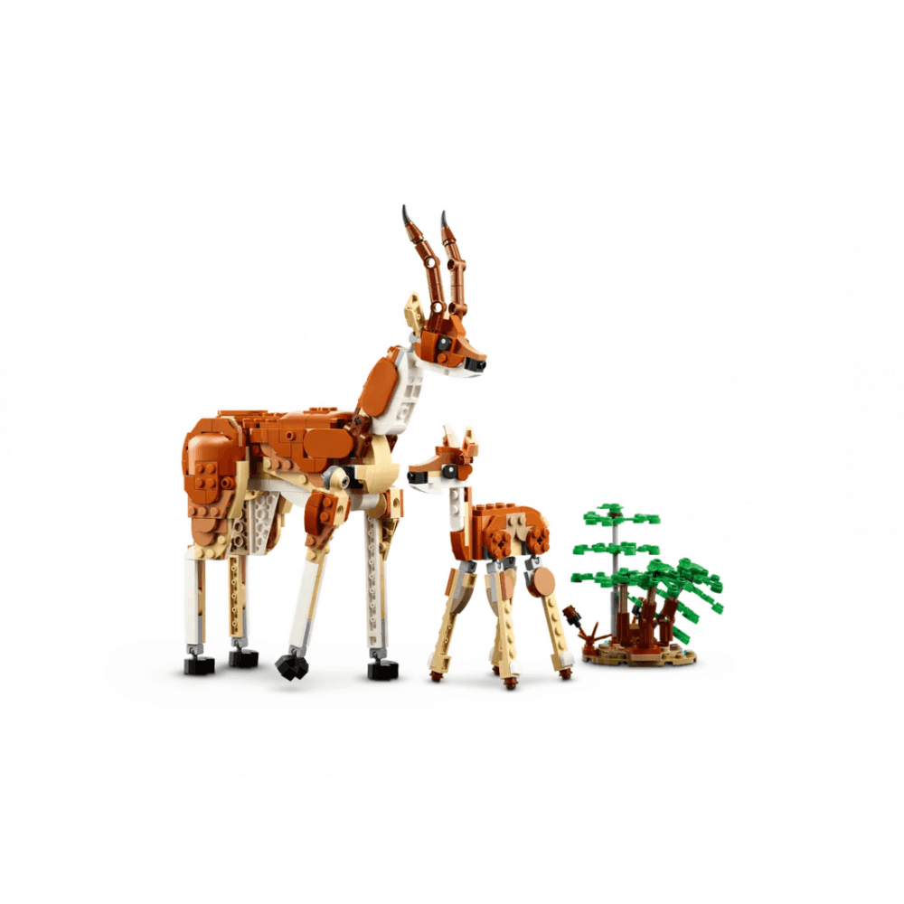 Wild Safari Animals