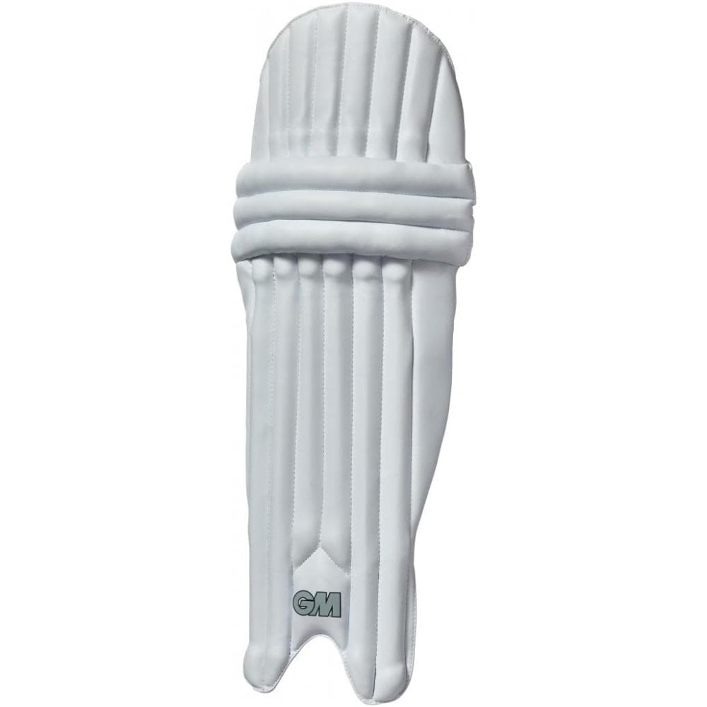 BATTING PADS - 202 AMBI
