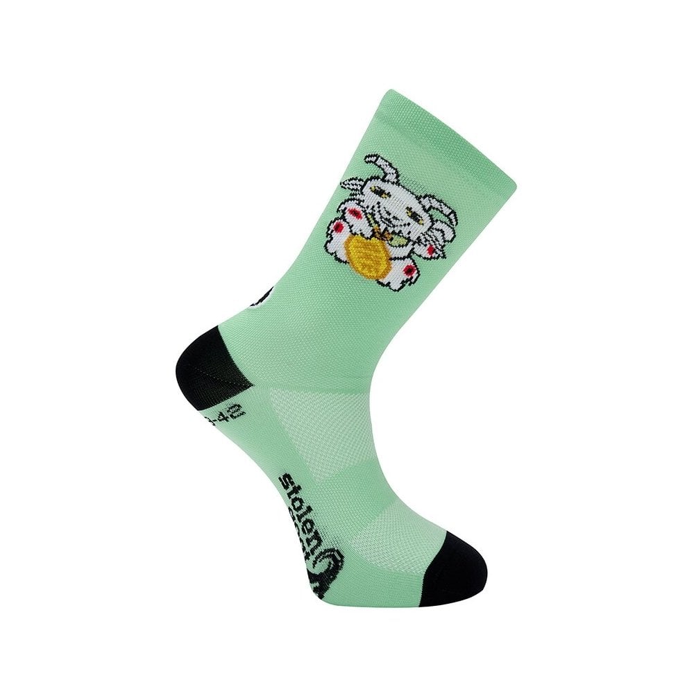 Ibex Socks