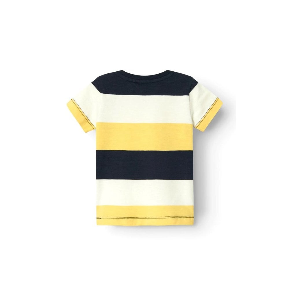 NBMFACTS SS TOP