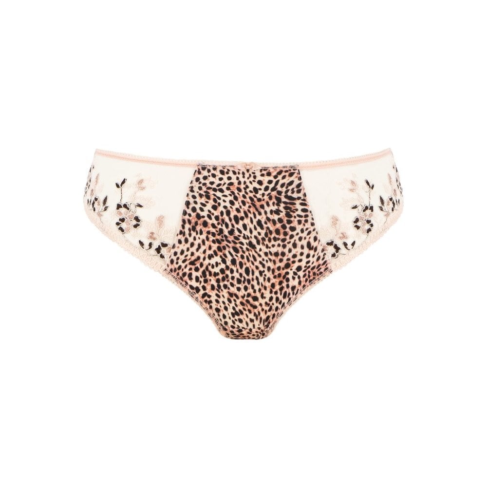 Lindsey Brief
