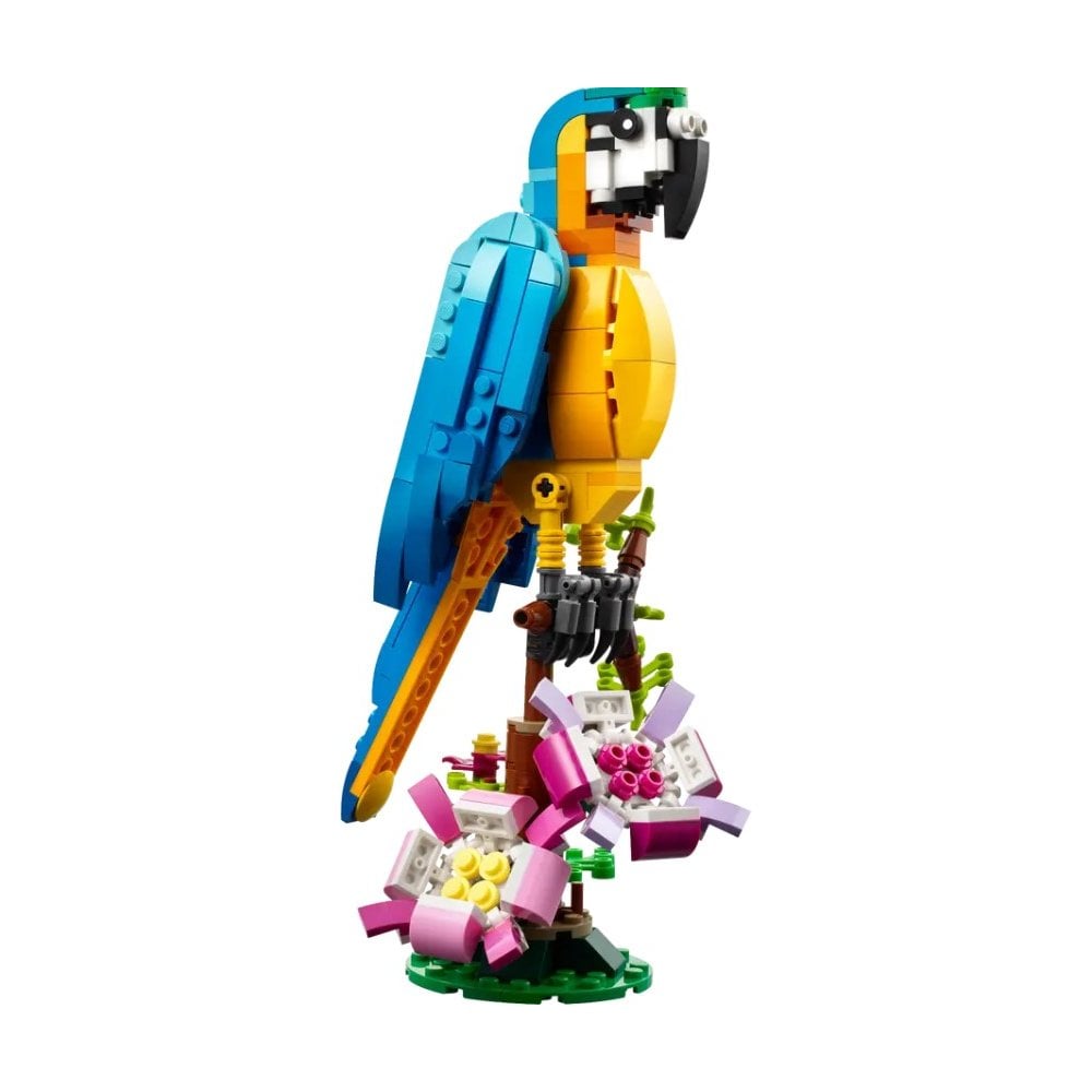 Exotic Parrot