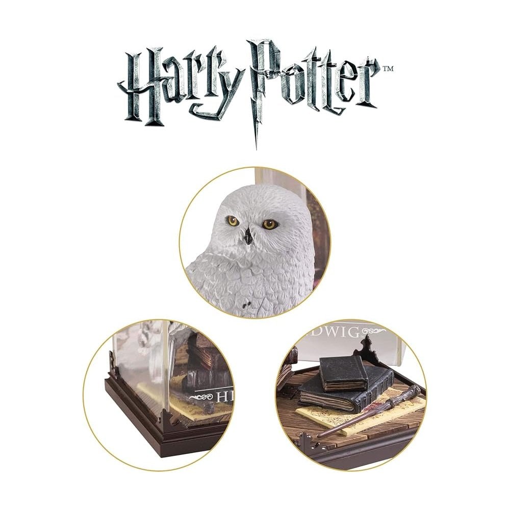 Magical Creatures – Hedwig