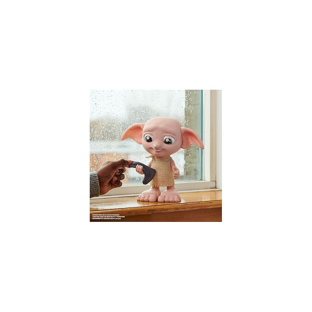 Interactive Dobby