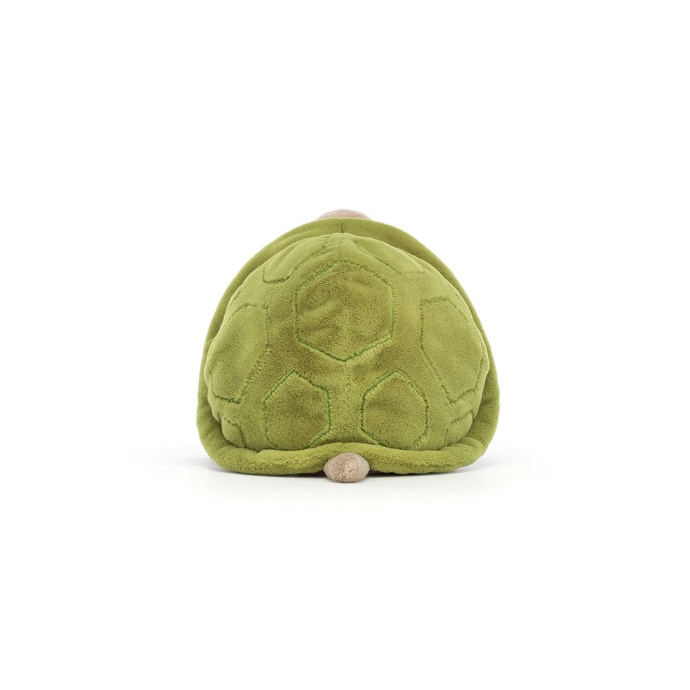 Timmy Turtle