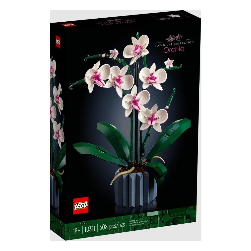 Orchid