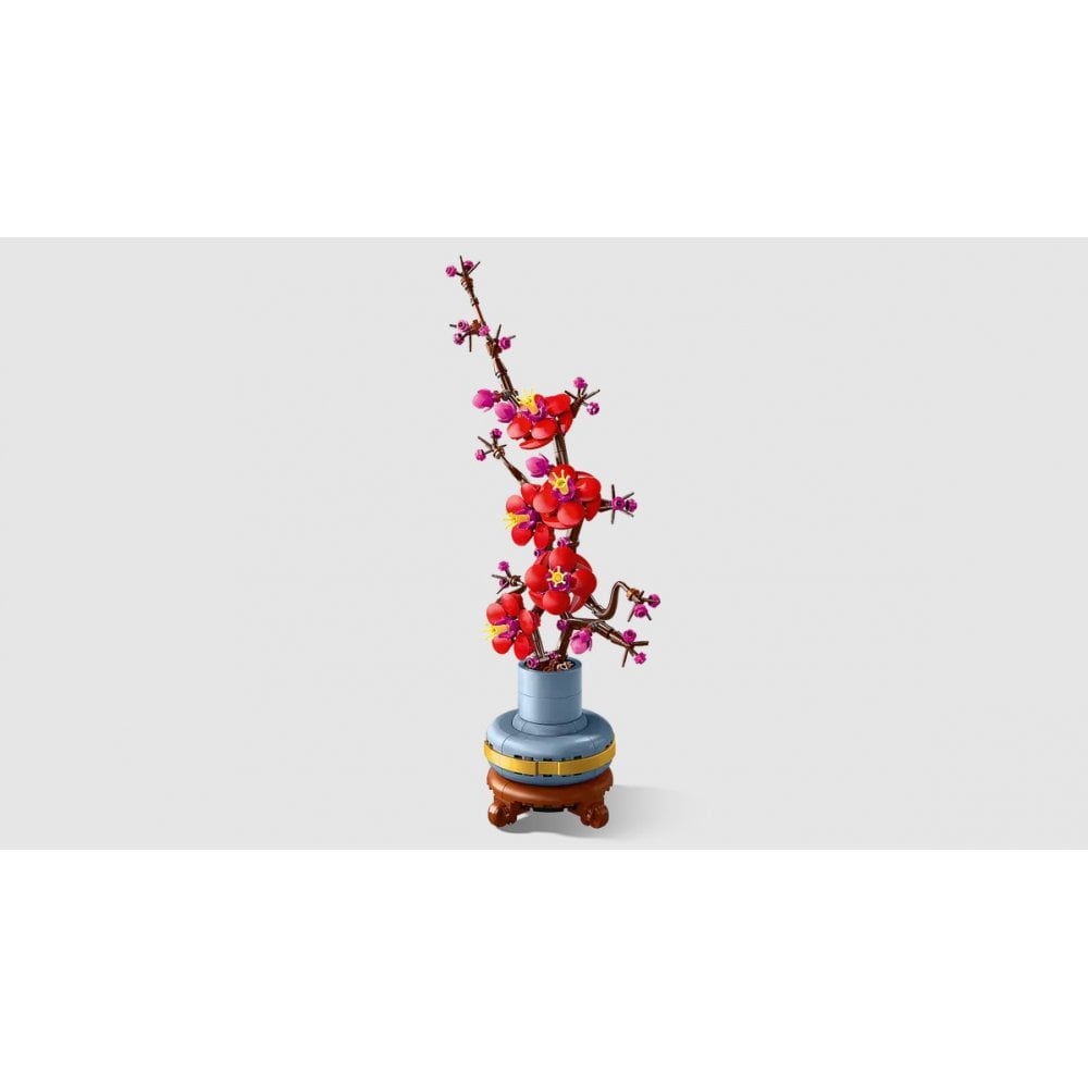 Plum Blossom