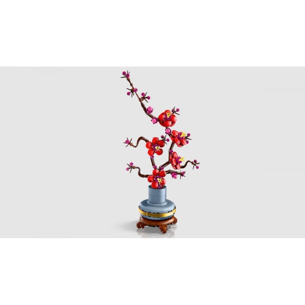 Plum Blossom