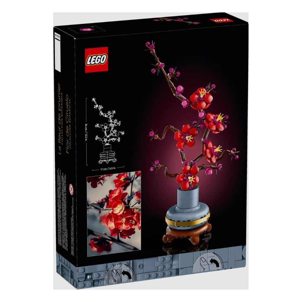 Plum Blossom