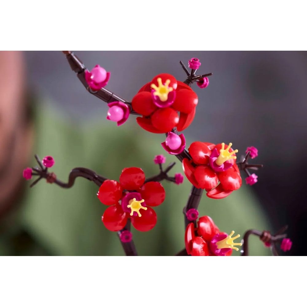 Plum Blossom