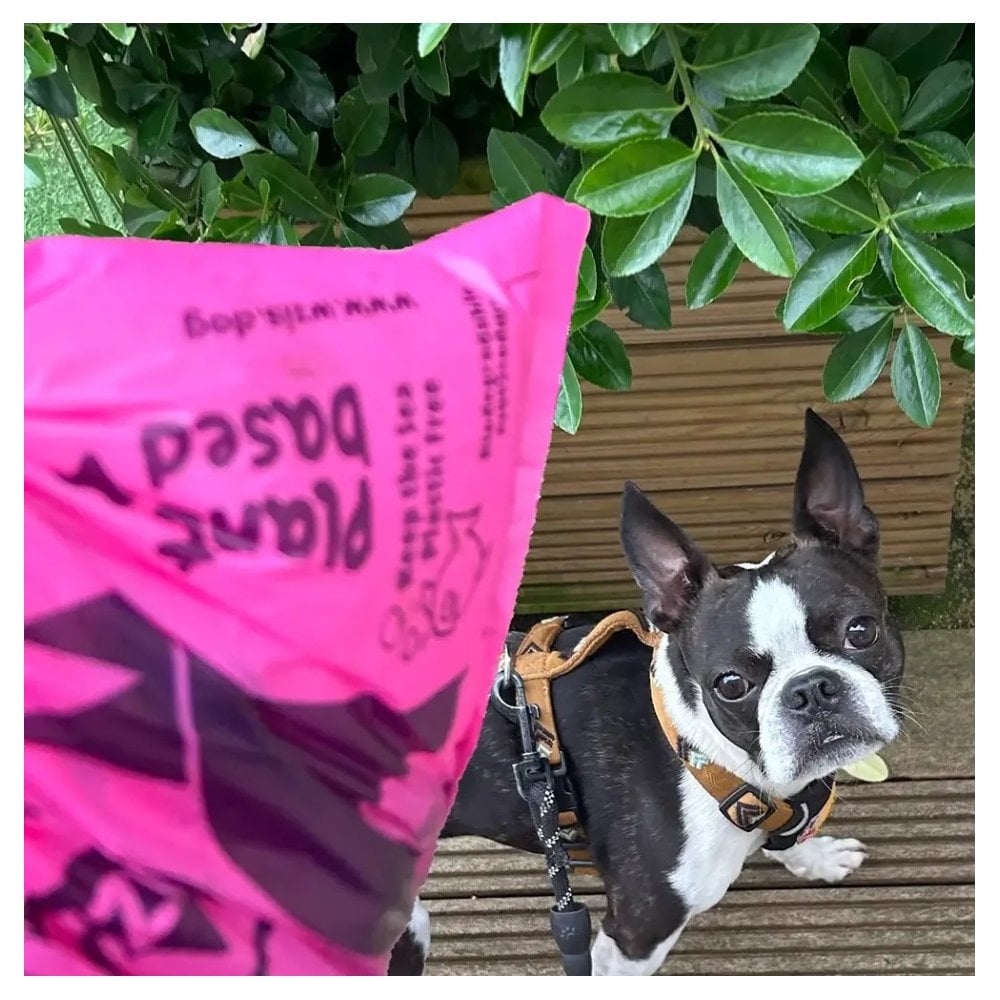 Plant Based Compostable Poo Bags