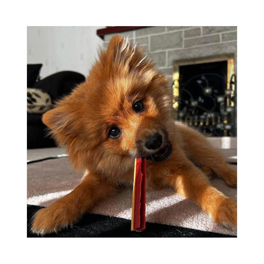 Smoky Dental Fang Chew
