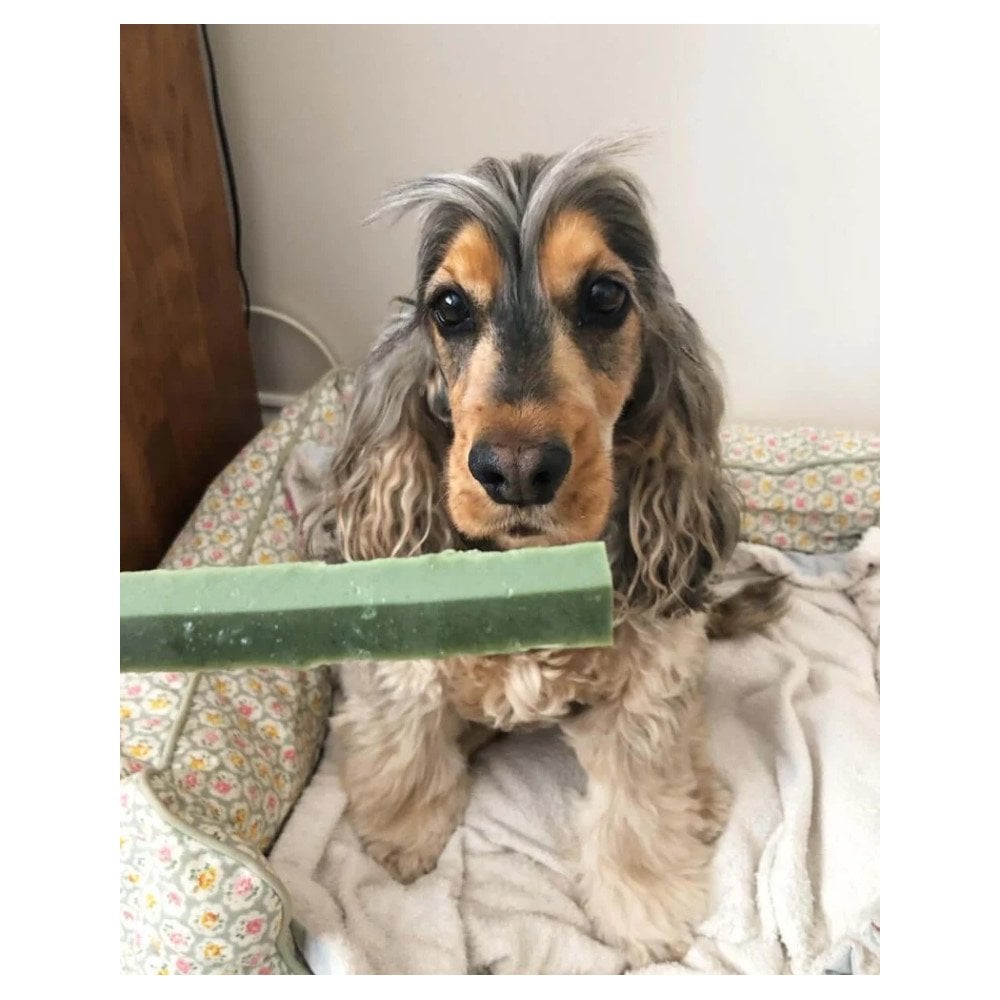Fruity Dental Fang Chew