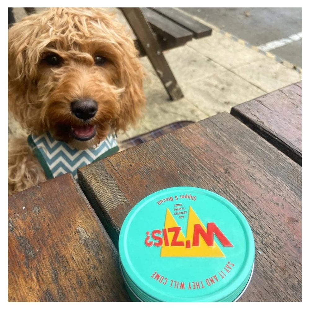 Tin Gift Box: Slipper & Biscuit
