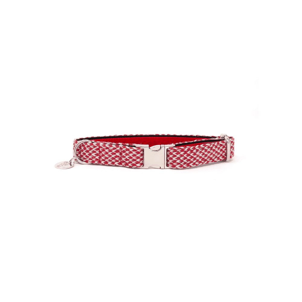 Luxury Dog Collar