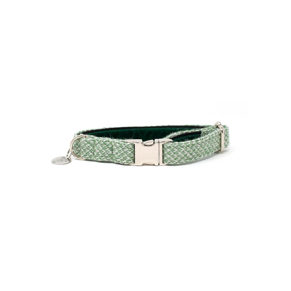 Luxury Dog Collar