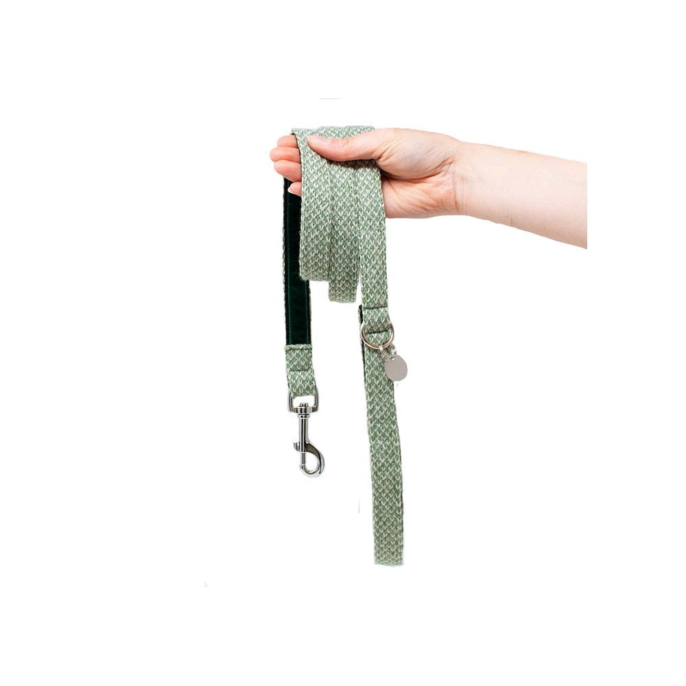 Luxury Traditional Lead