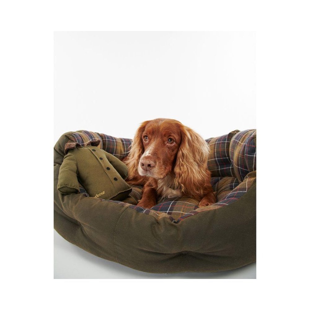 Jacket Dog Toy