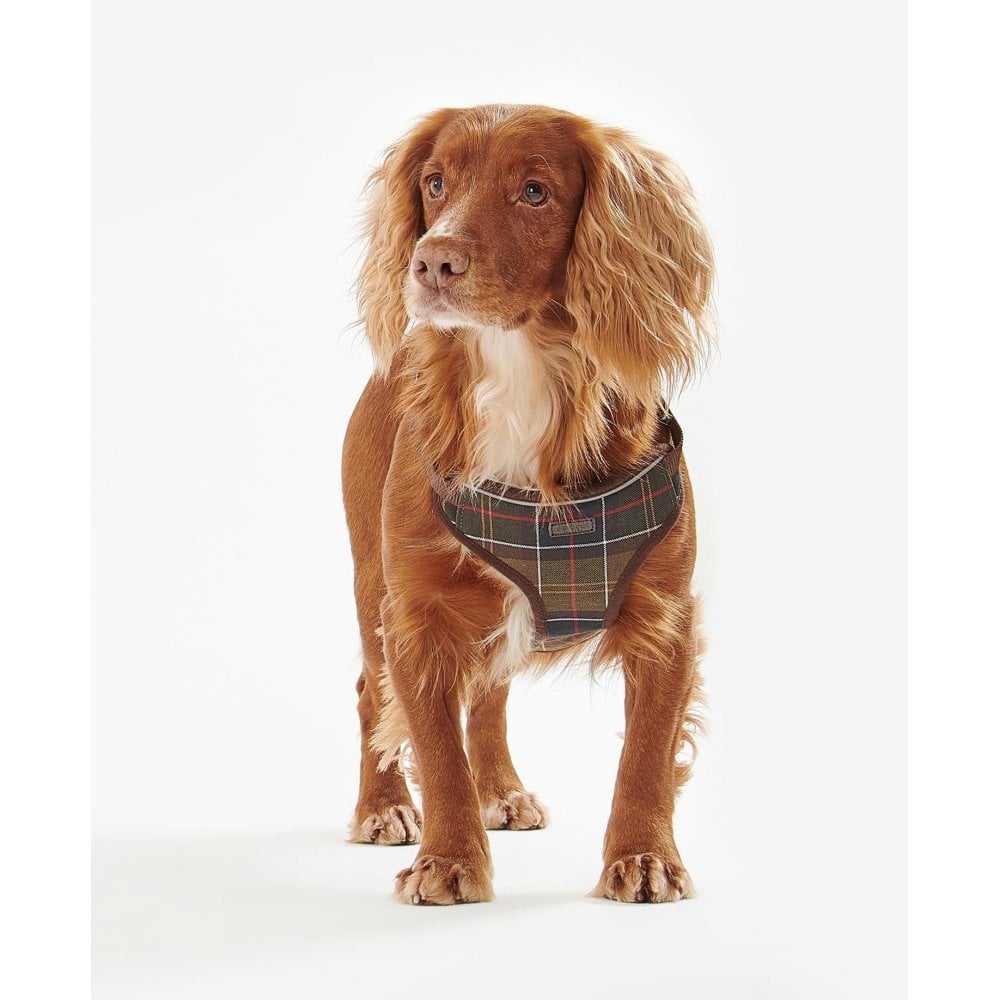 Travel And Exercise Dog Harness