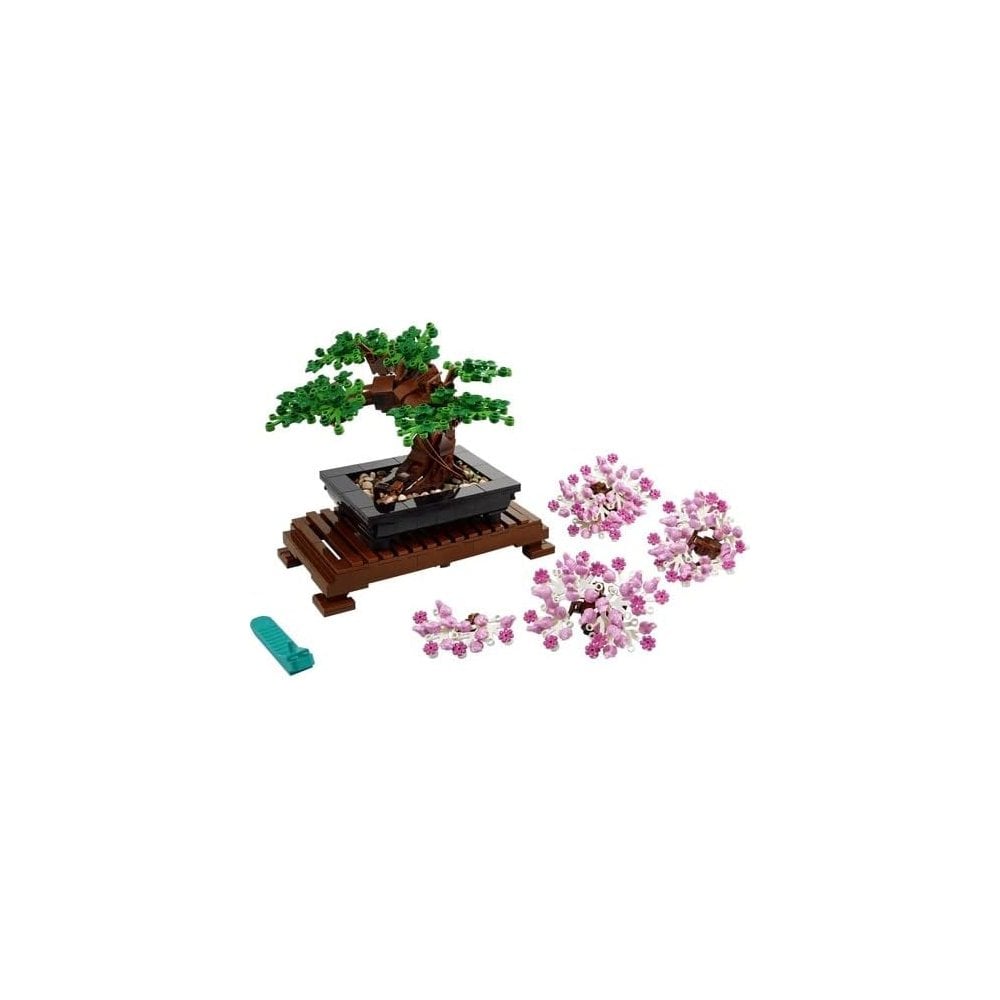 Bonsai Tree