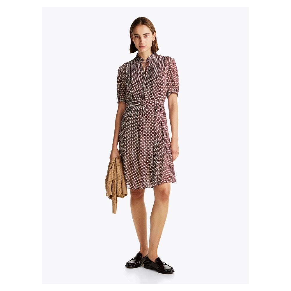 Print Pleated Fit And Flare Dress