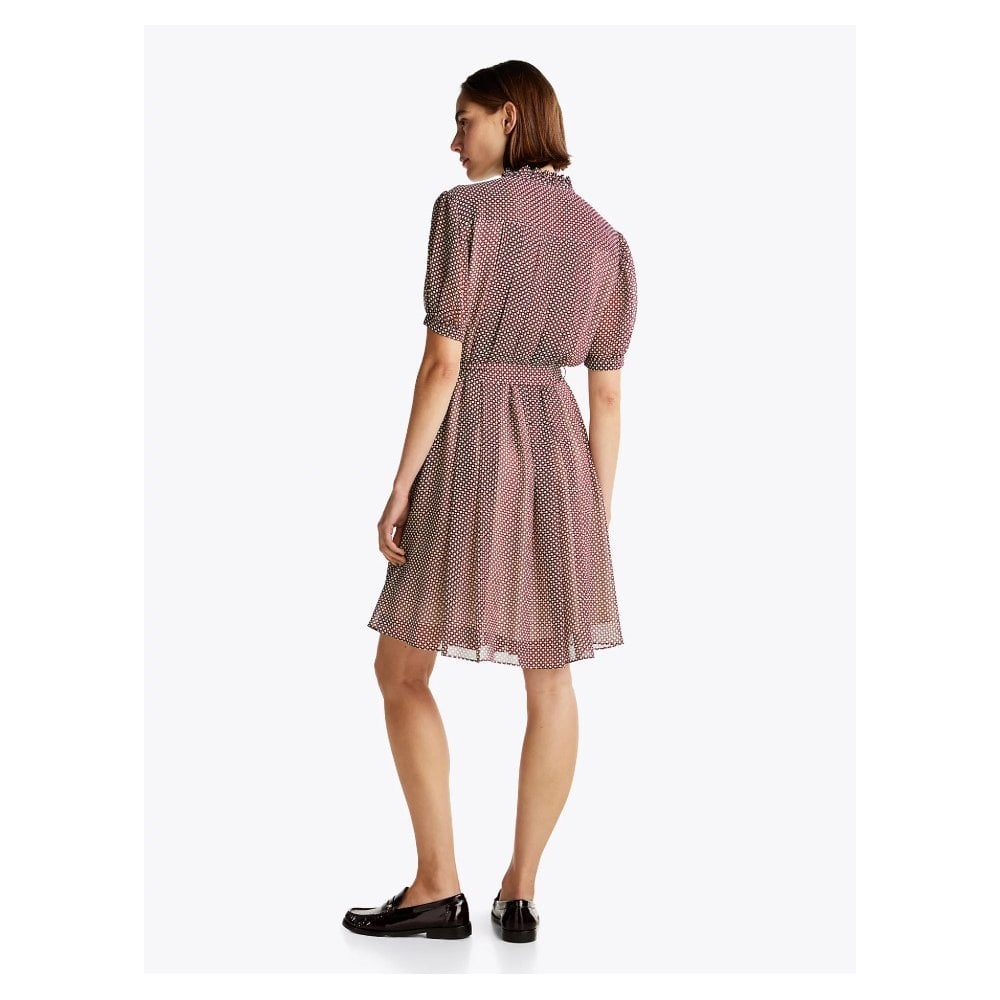 Print Pleated Fit And Flare Dress