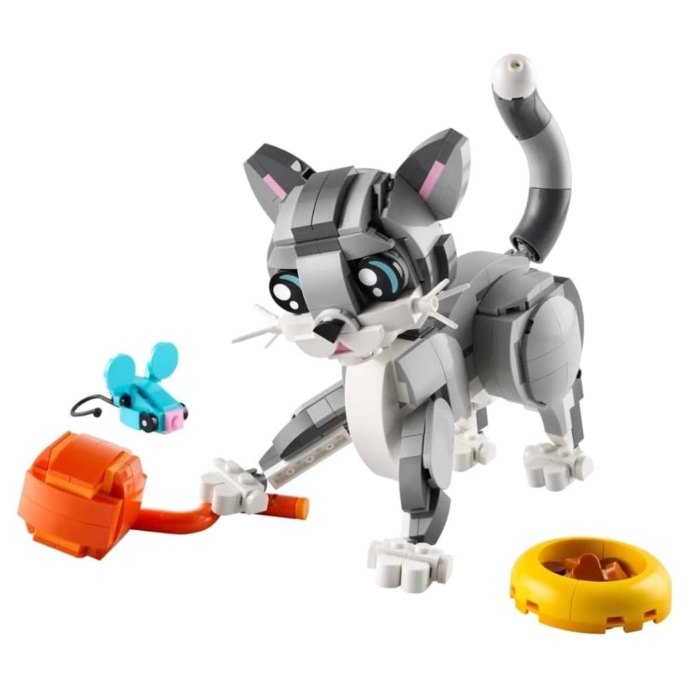 Playful Cat