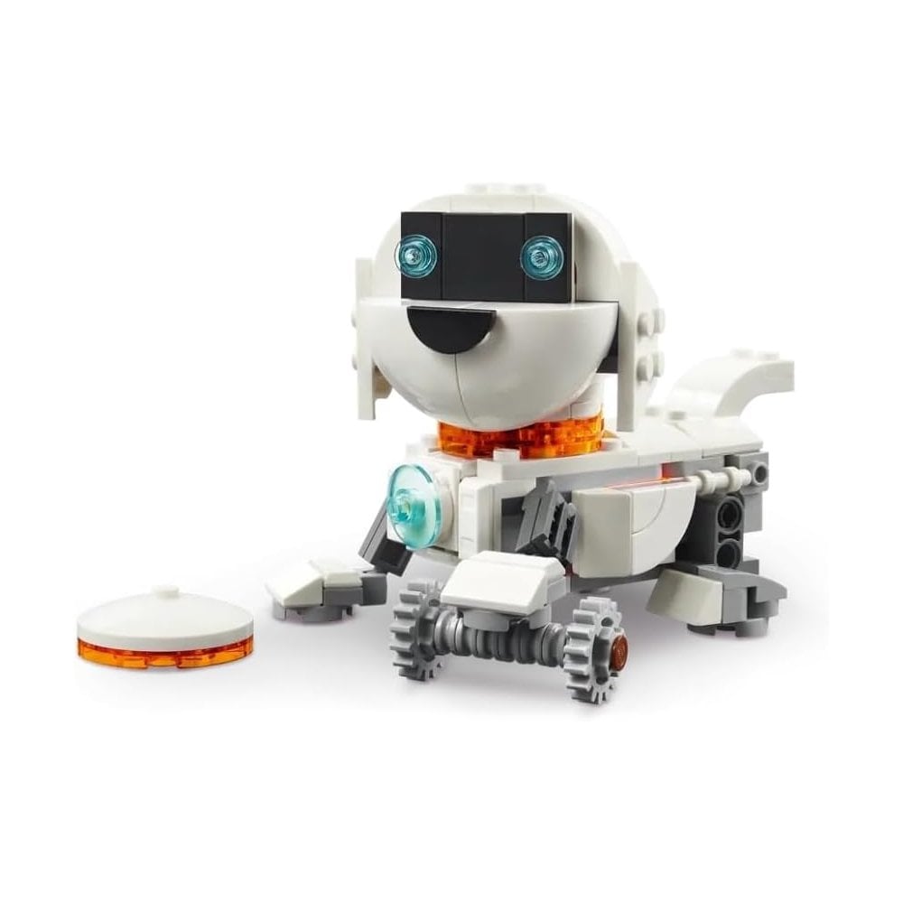 Space Robot