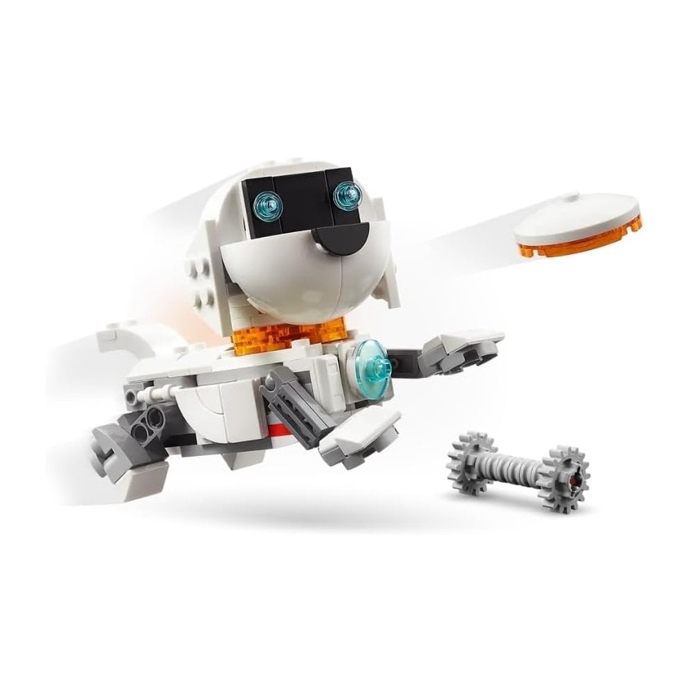 Space Robot
