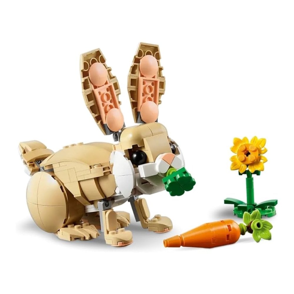 Cute Bunny