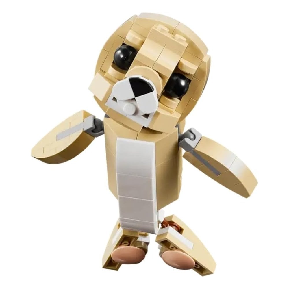 Cute Bunny