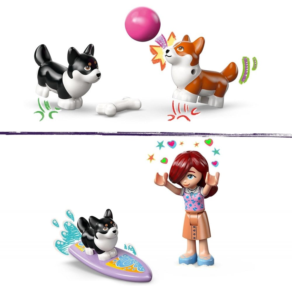 Surfing Dogs and Scooter Adventure