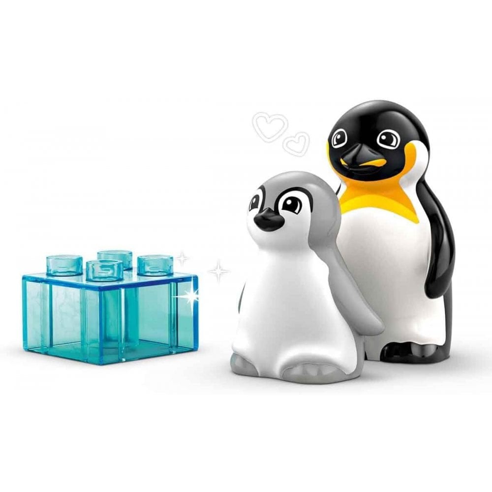 Wild Animal Families: Penguins & Lions