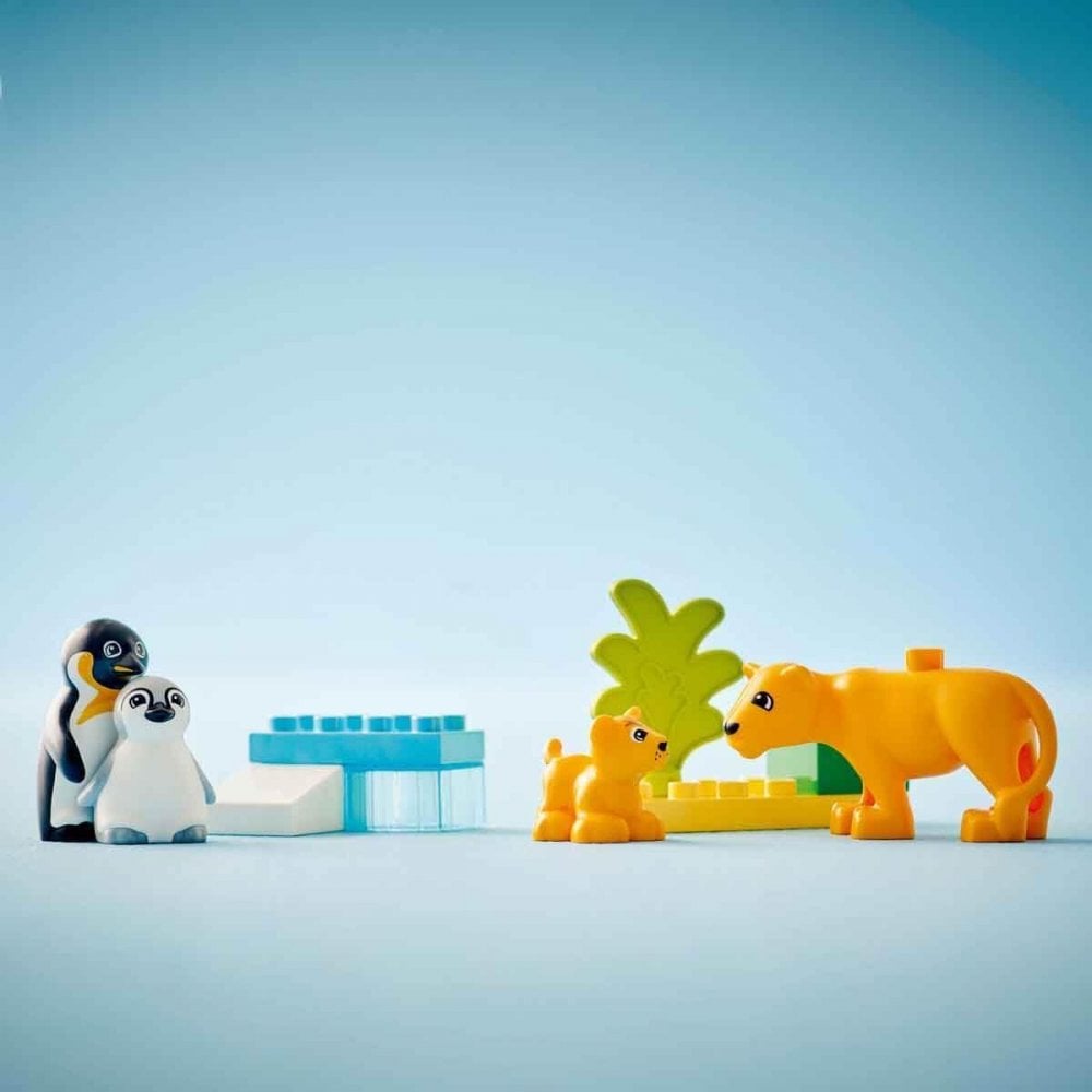 Wild Animal Families: Penguins & Lions
