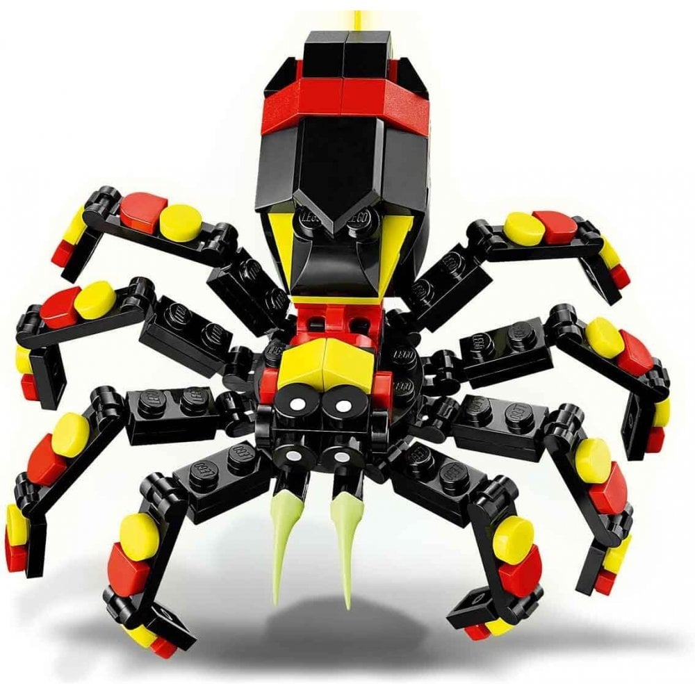 Wild Animal: Surprising Spider