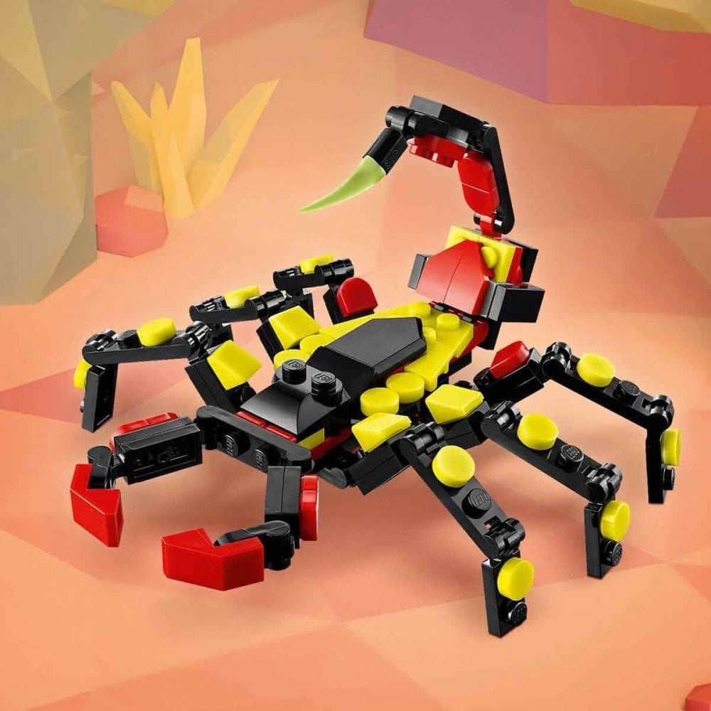 Wild Animal: Surprising Spider