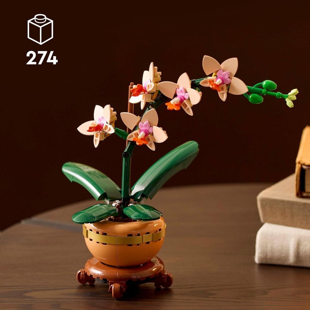 Mini Orchid