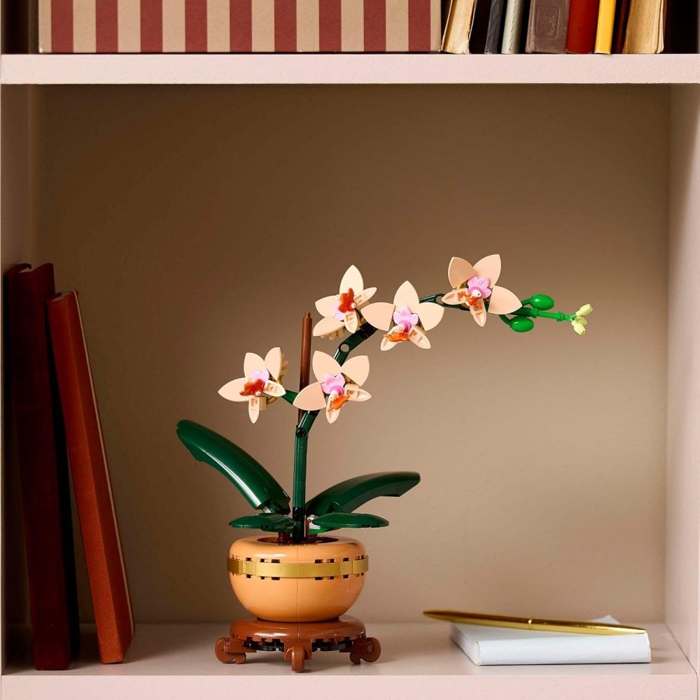 Mini Orchid