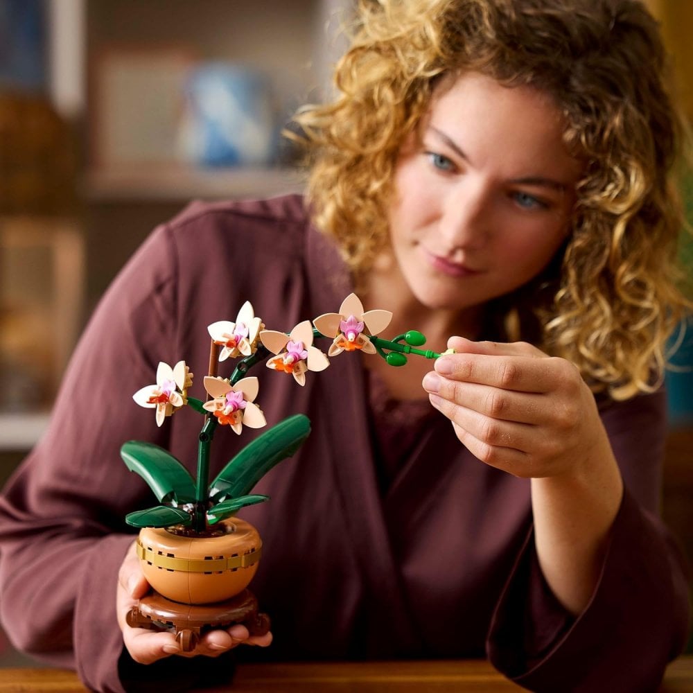 Mini Orchid