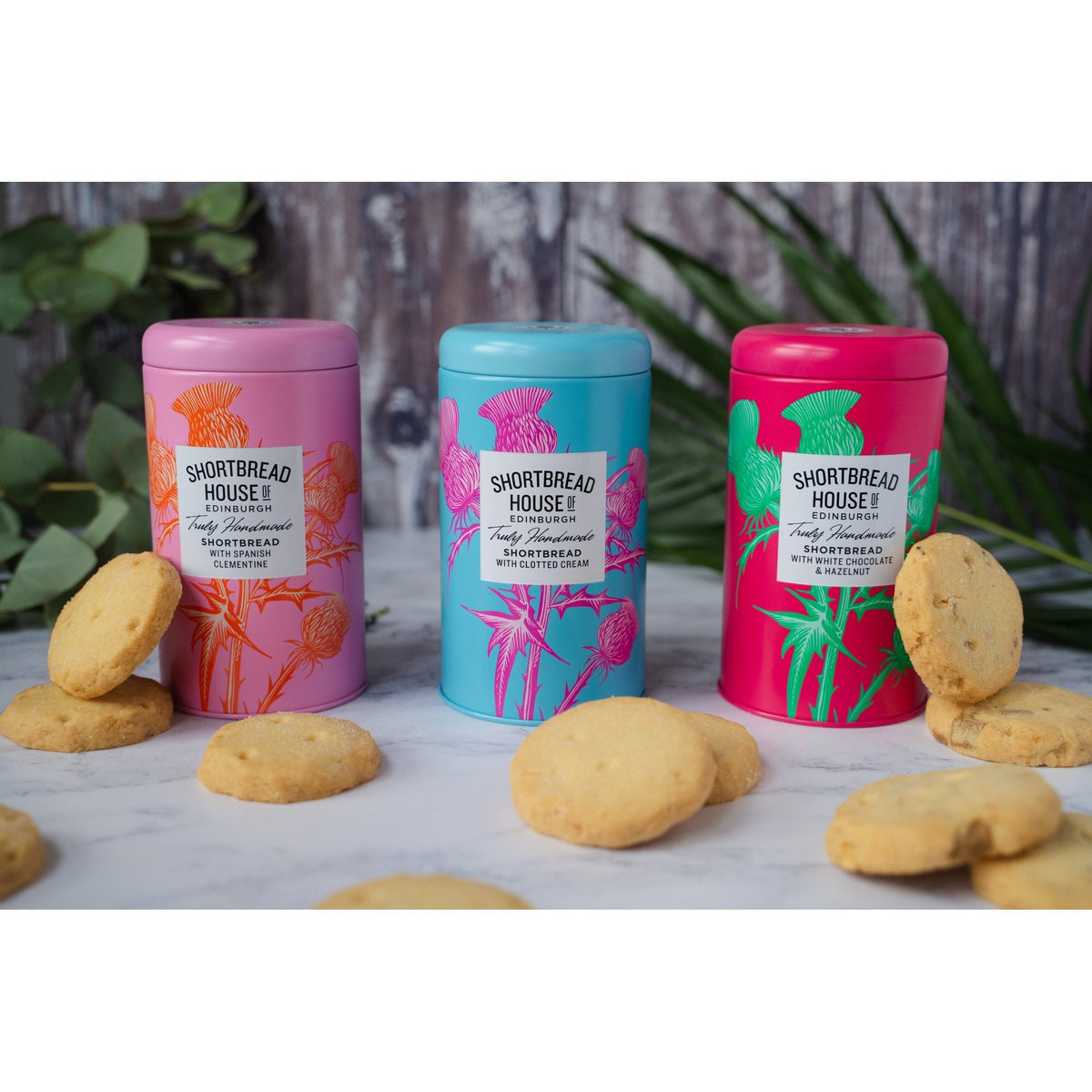 140g Tin of Truly Handmade Shortbread Biscuits with White Chocolate and Hazelnuts