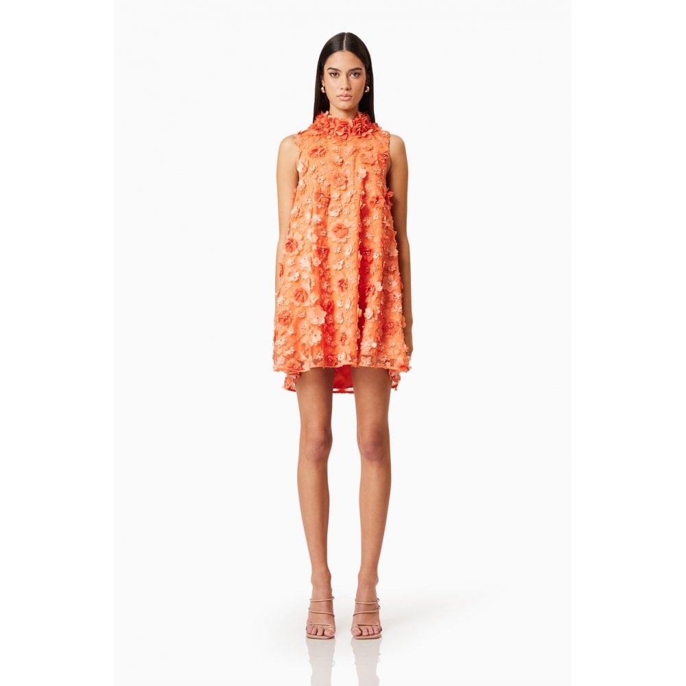 Bluebell High Neck Trapeze Dress in Orange